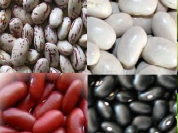 సోయా బీన్స్