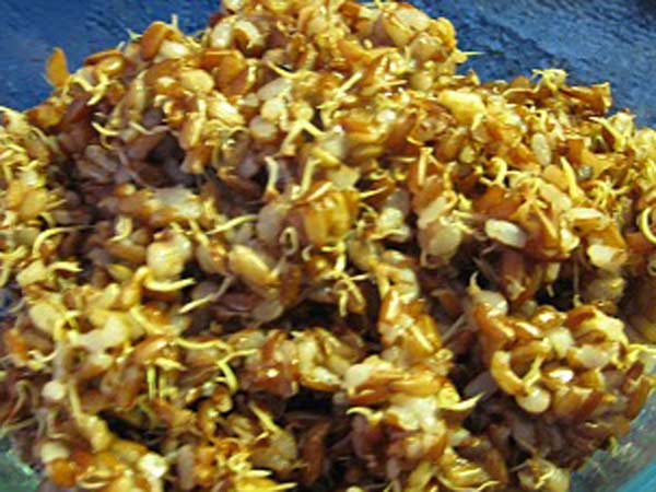 తృణధాన్యాలు