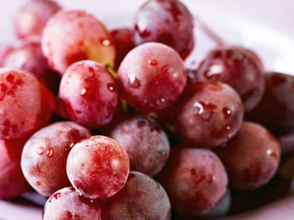 ద్రాక్ష