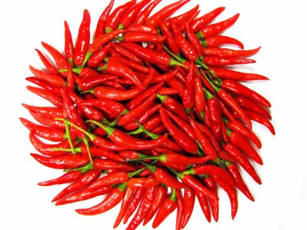 మిరపకాయ