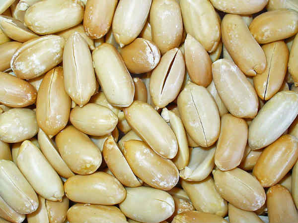 నట్స్ తో బహుళ ఆరోగ్య ప్రయోజనాలు..నట్స్ డే స్పెషల్