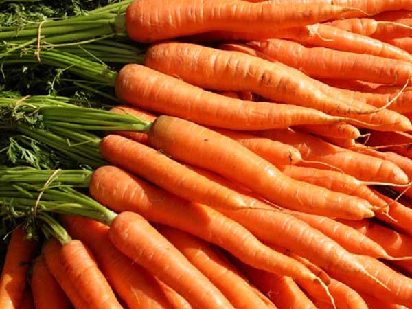 బ్రెస్ట్ క్యాన్సర్ నివారణకు బెస్ట్ ఫుడ్స్