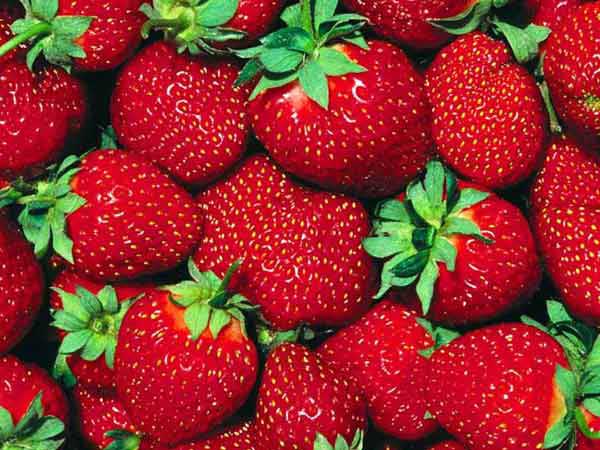 బ్రెస్ట్ క్యాన్సర్ నివారణకు బెస్ట్ ఫుడ్స్