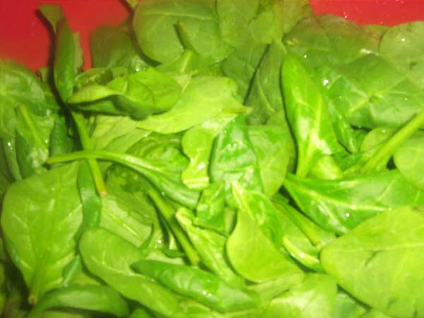 బ్రెస్ట్ క్యాన్సర్ నివారణకు బెస్ట్ ఫుడ్స్