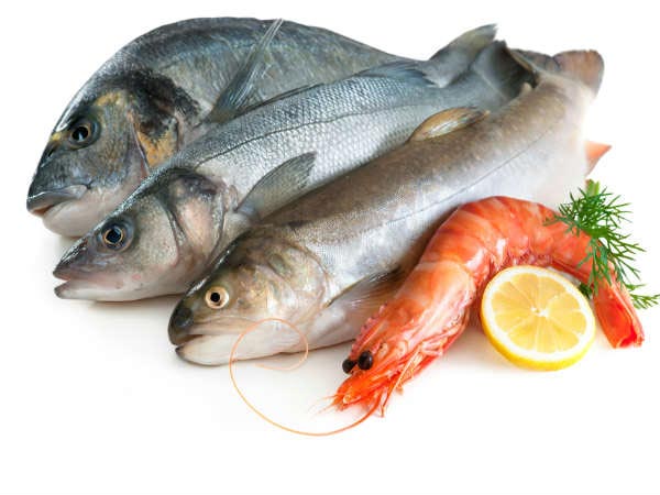 కోల్డ్ వాటర్ ఫిష్ మరియు ఆస్ట్రిచెస్