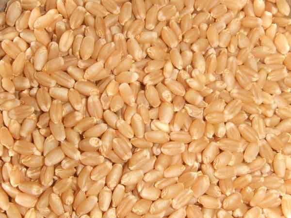 ఒత్తిడి(స్ట్రెస్) తగ్గించే పోషకాహారం...!