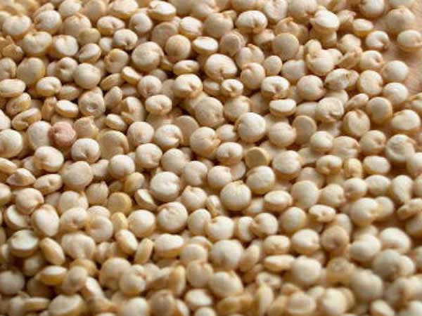 ఇవి తింటే.. మీ స్టామినా రెట్టింపు...!