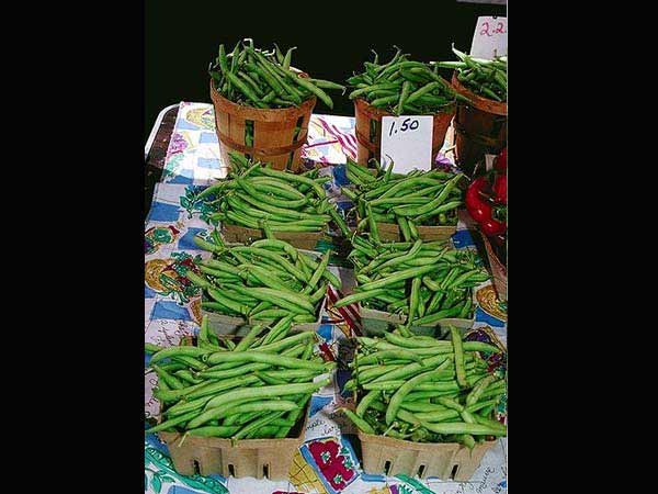 డయాబెటిక్ పేషంట్స్ కి... హ్యాపీ మీల్స్...