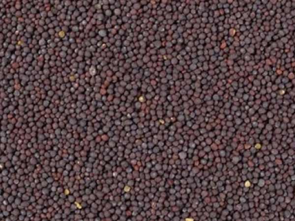 పోపుల పెట్టె కాదు...ఆరోగ్యపు చిట్ట...!