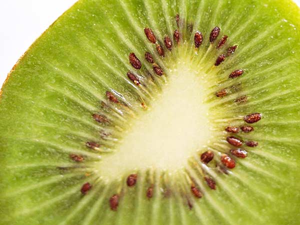 జుట్టు రాలిపోతోందని టెన్షన్ ఎందుకు...?