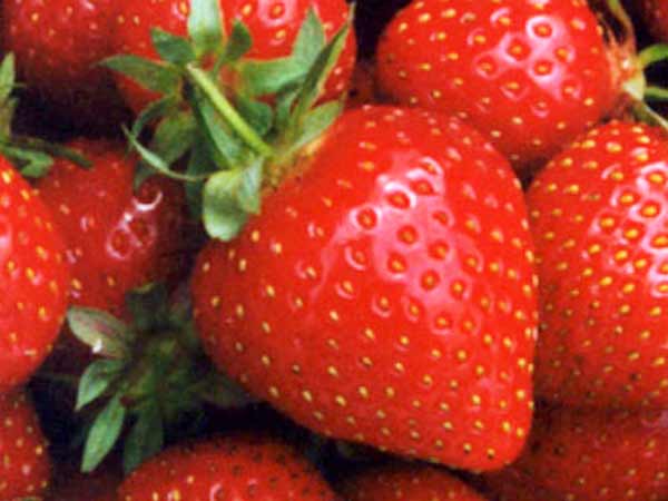 సంతోషానికి-ఈ ఆహారాలకు ఉన్న సంబంధమేమి..?