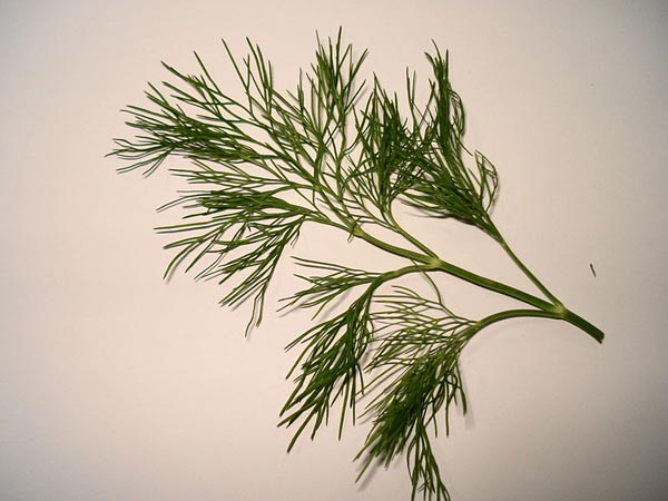 ప్రసవం తర్వాత మలబద్దకాన్ని నివారించే ఆహారాలు..!