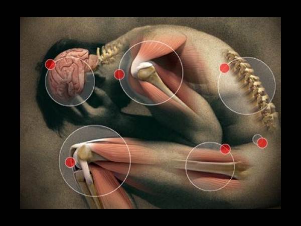 అంగస్తంభన లోపానికి అద్భుత ఔషధం దానిమ్మ