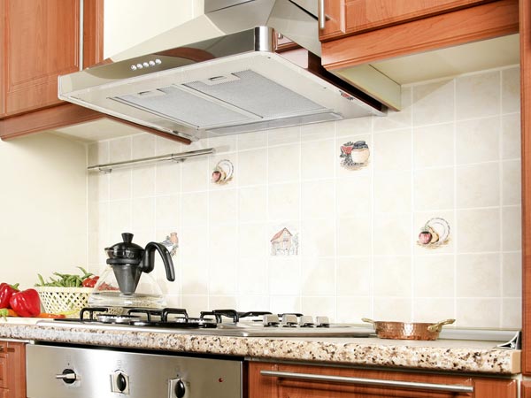 నిమ్మరసంతో శుభ్రం చేసే కొన్ని వస్తువులు