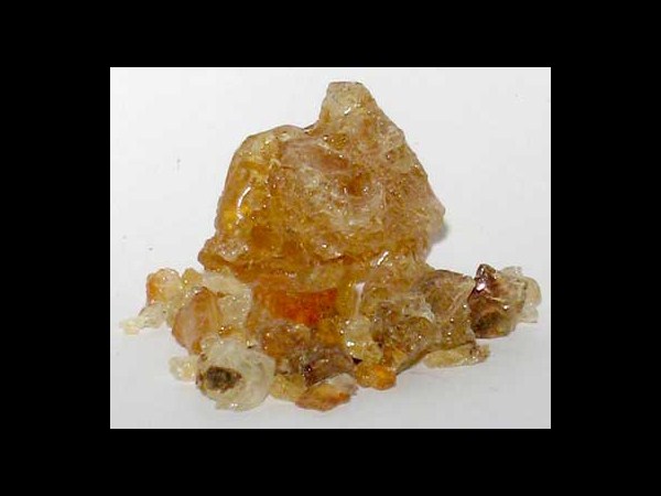 తుమ్మ జిగురు