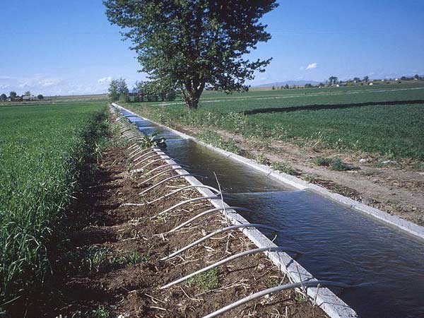 గార్డెన్ గురించి తీసుకోవాల్సిన 12 జాగ్రత్తలు !!