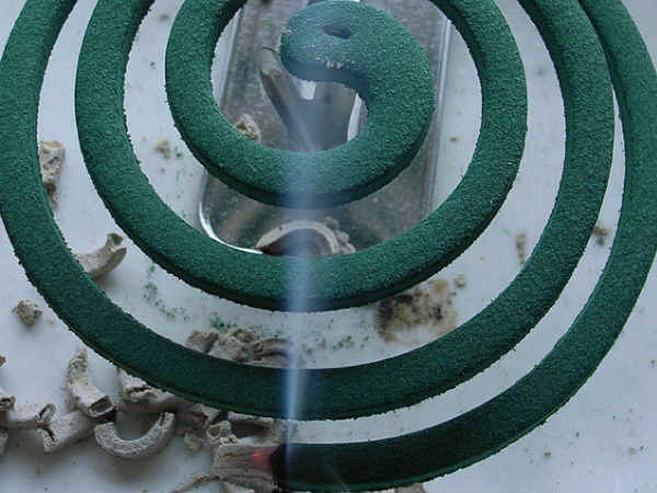 వర్షాకాలంలో ఈ ఆరోగ్య చిట్కాలు చాలా అవసరం.!?