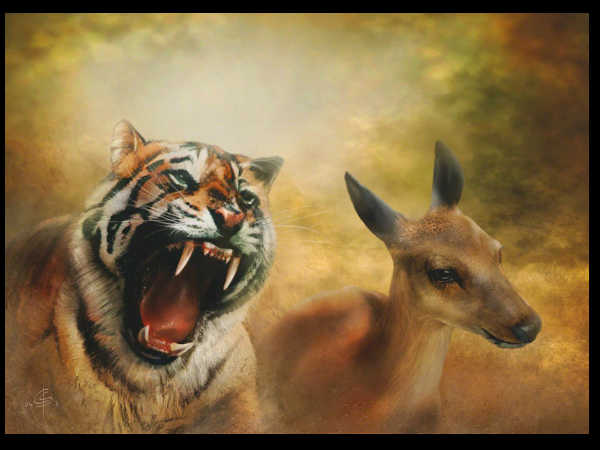  మీ లివింగ్ రూమ్ లో ఉండవలసిన చిత్రాలు: