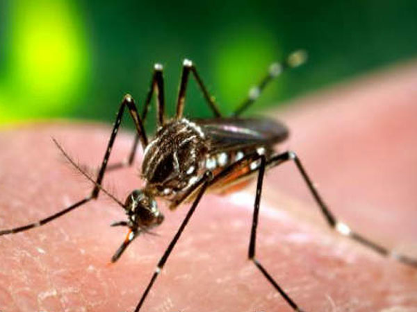 వర్షాకాలంలో బాధించే జబ్బులు-నివారణ