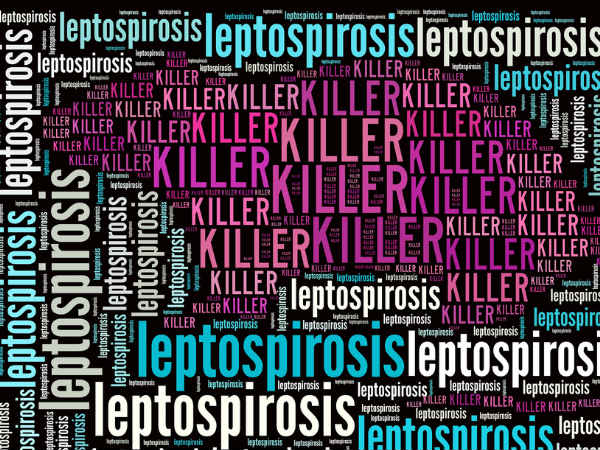 వర్షాకాలంలో బాధించే జబ్బులు-నివారణ