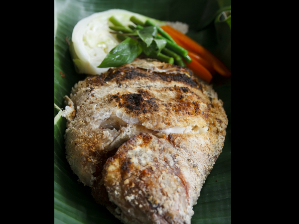 పత్రాణి మచ్చి 