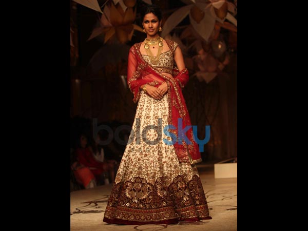 రబ్బీ రెడ్: