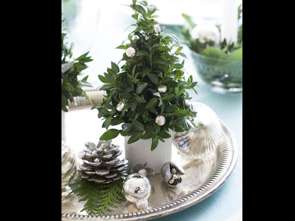 ప్రకృతి వాతావరణాన్ని క్రియేట్ చేయండి: 