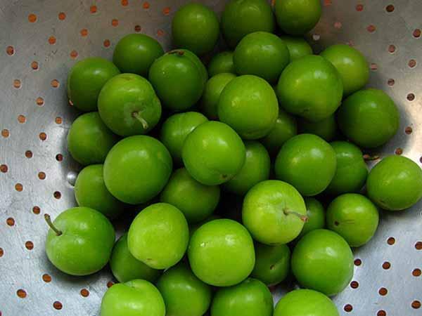 రేగు వాటర్