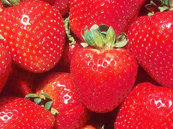 స్ట్రాబెర్రీస్