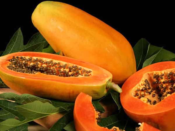 బొప్పాయి 