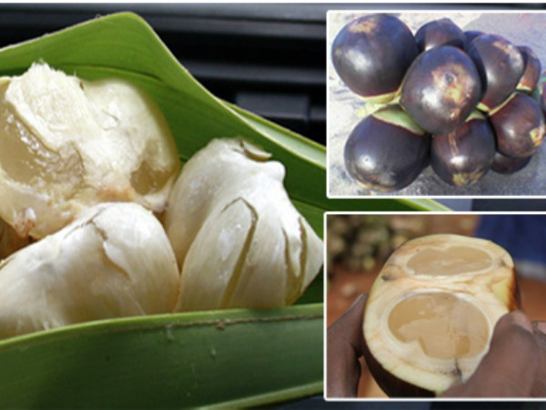 తాటి ముంజలు: