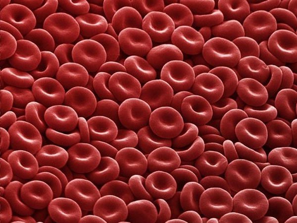 హీమోగ్లోబిన్ కౌంట్ పెంచడానికి సహాయపడుతుంది: