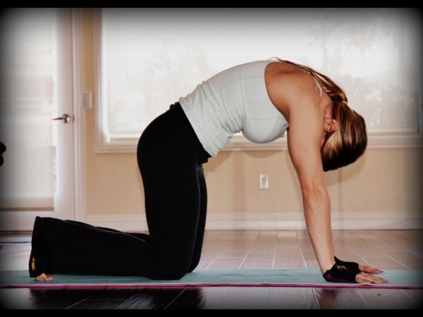 మార్జలాసనం లేదా పిల్లి భంగిమ