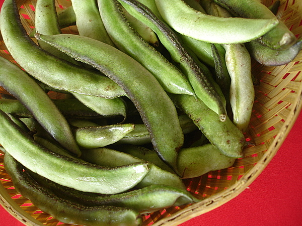 చిక్కుళ్లు