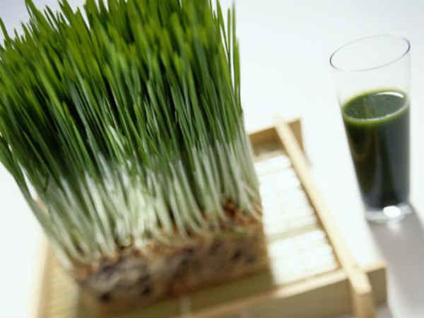 వెనీలా ఎక్సట్రాక్ట్