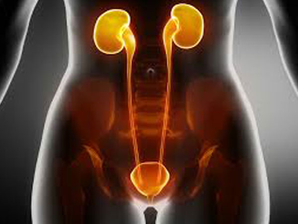 7. మూత్రపిండాల సంరక్షణ