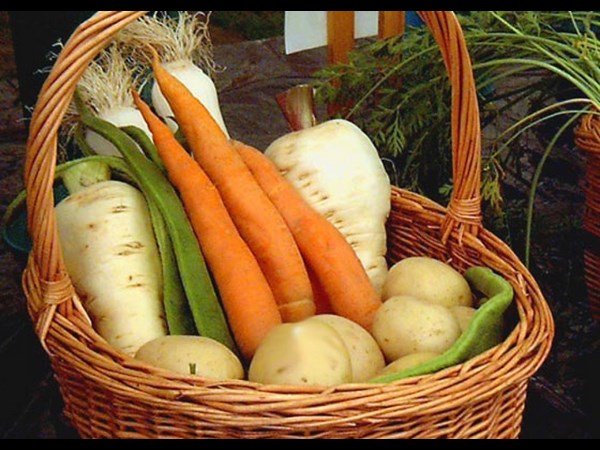 Can Pregnant Women Eat Root Vegetables?