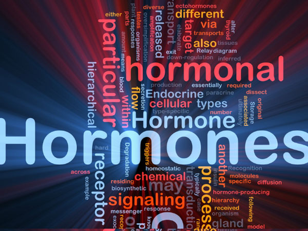 హార్మోన్ల స్థాయిని సమతౌల్యం చేస్తుంది 