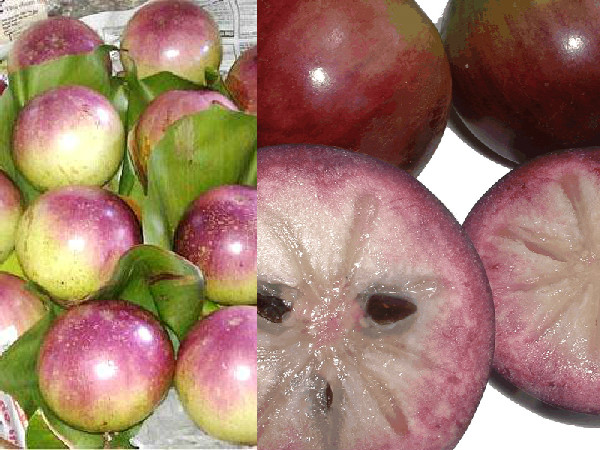 స్టార్ యాపిల్ 