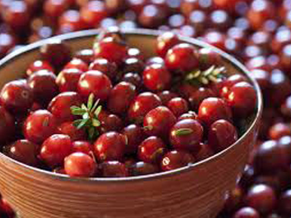 7. క్వర్సిటిన్: 