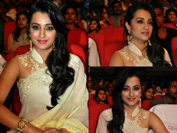 Trisha Krishnan Looks Charming In Tarun Tahiliani