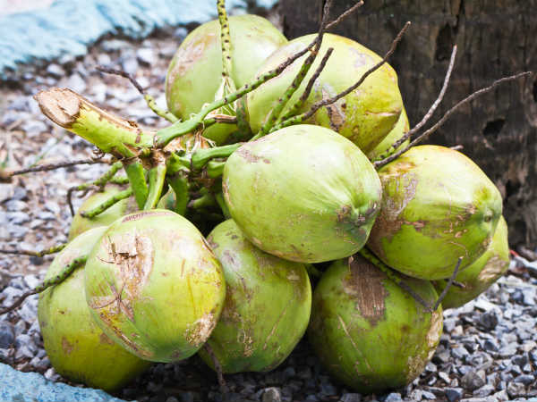 కోకనట్ వాటర్: