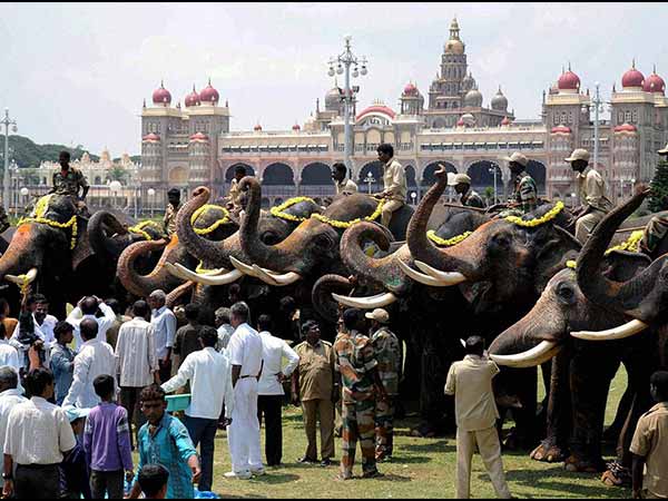 దసరా ఉత్సవాలకు నియలం : మైసూర్
