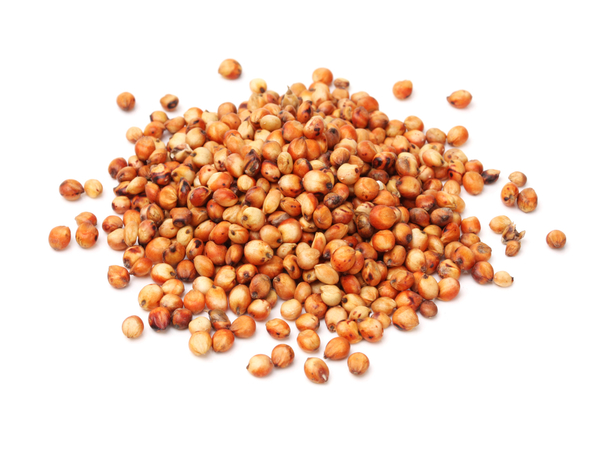 పోషకాహారం