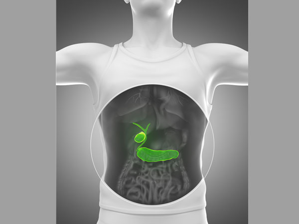 గాల్ బ్లాడర్ సమస్యలు: