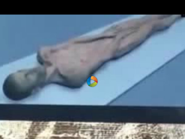 మమ్మీస్