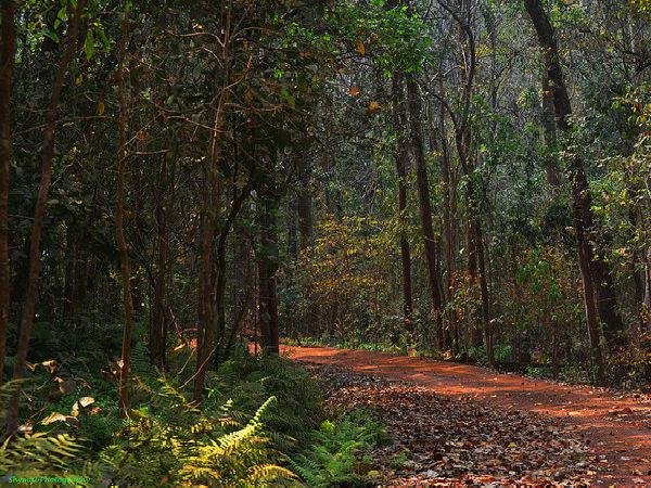 కిష్కంద - పురాతన ప్రాంతం