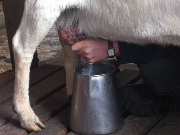 ఇన్ల్ఫ‌మేష‌న్ త‌గ్గించ‌డానికి