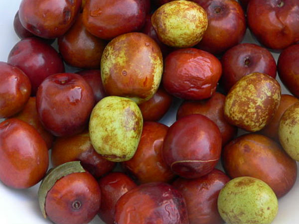 12.అతిగా తింటే విషంగా మారుతుందనే వైద్యశాస్త్రం చెబుతోంది. 