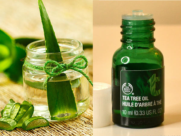 2.అలోవెర-టీట్రీ ఆయిల్: 